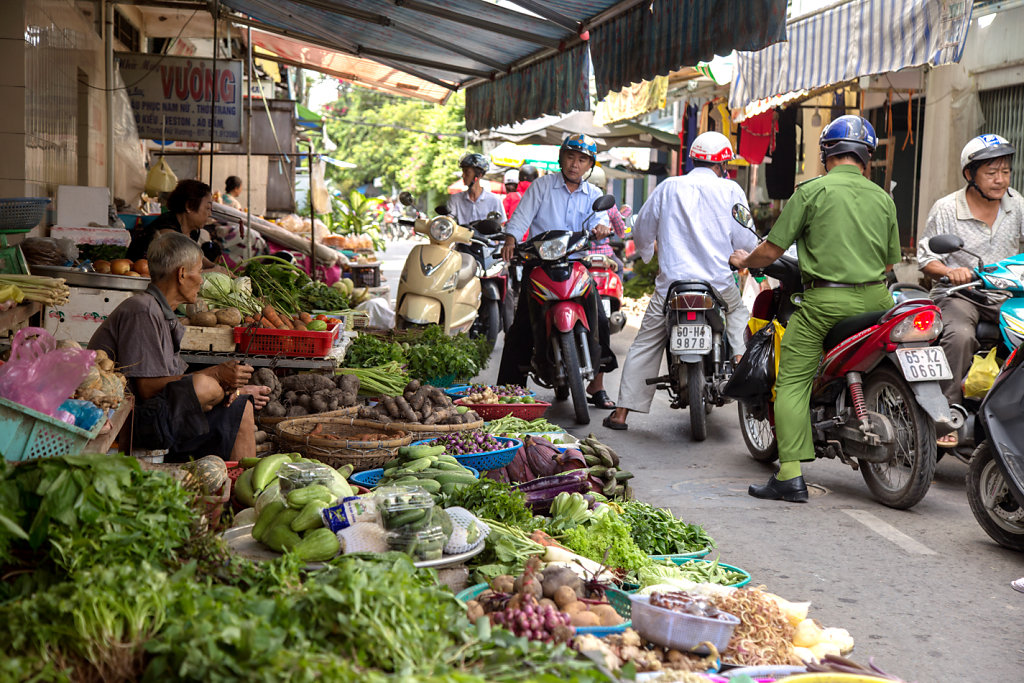 marche-terrestre-delta-du-mekong.jpg