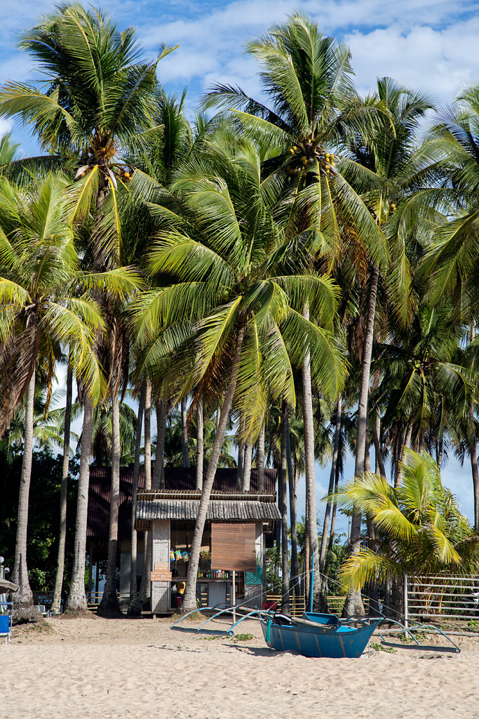 palmiers-cabane-Nacpan-Beach-el-nido-palawan.jpg