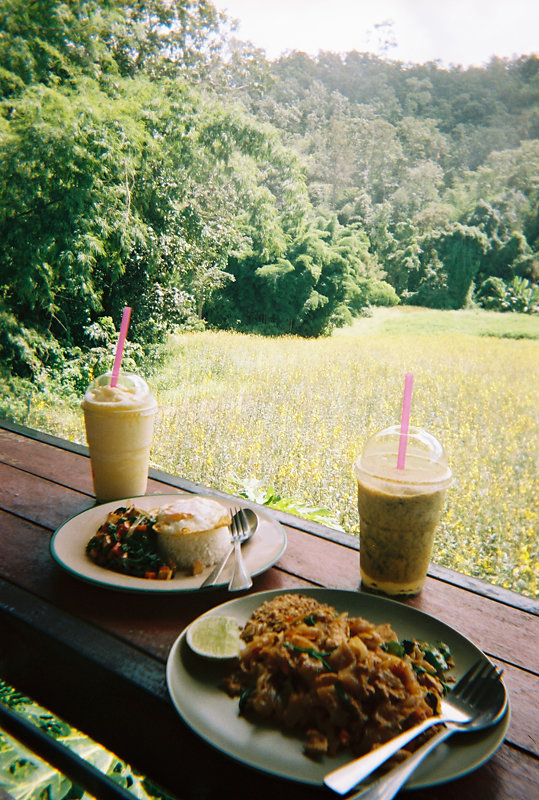 repas-bamboo-bridge.jpg