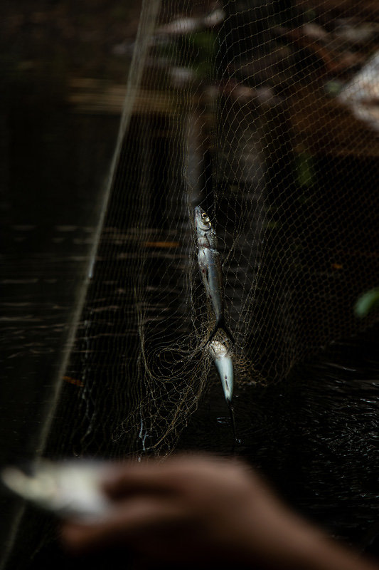 peche-sur-l-amazone.jpg