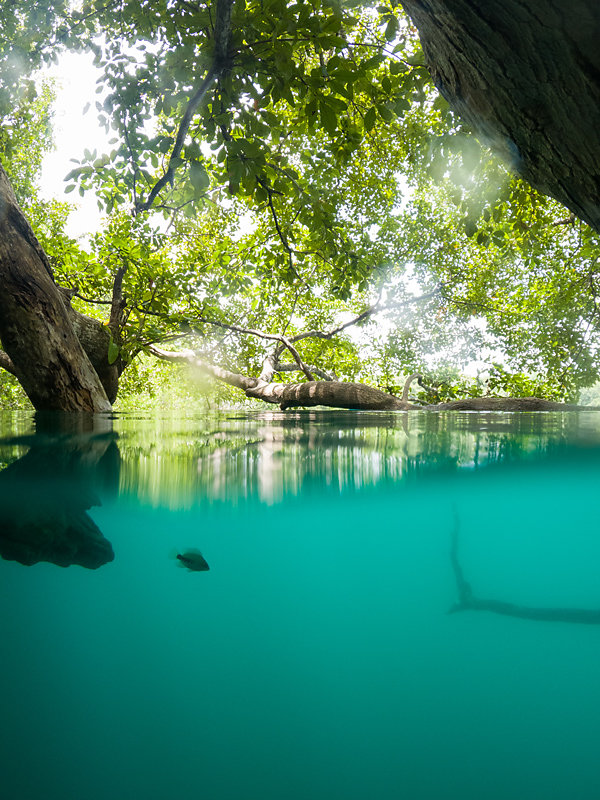 cenote-bacalar.jpg