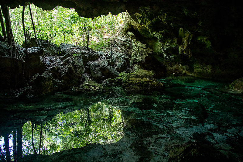 Cenote-sauvage-tulum.jpg