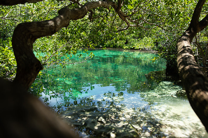 Cenote-Tulum.jpg