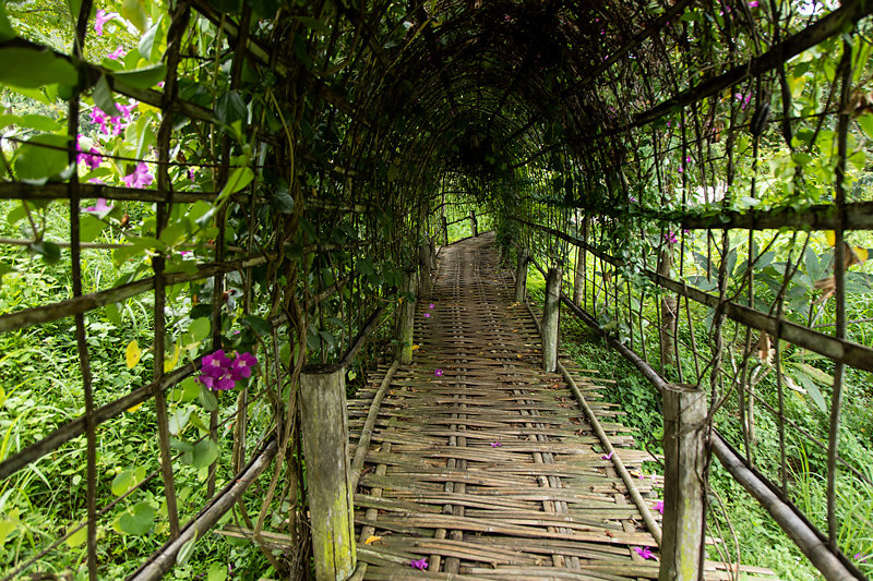 bamboo-bridge.jpg