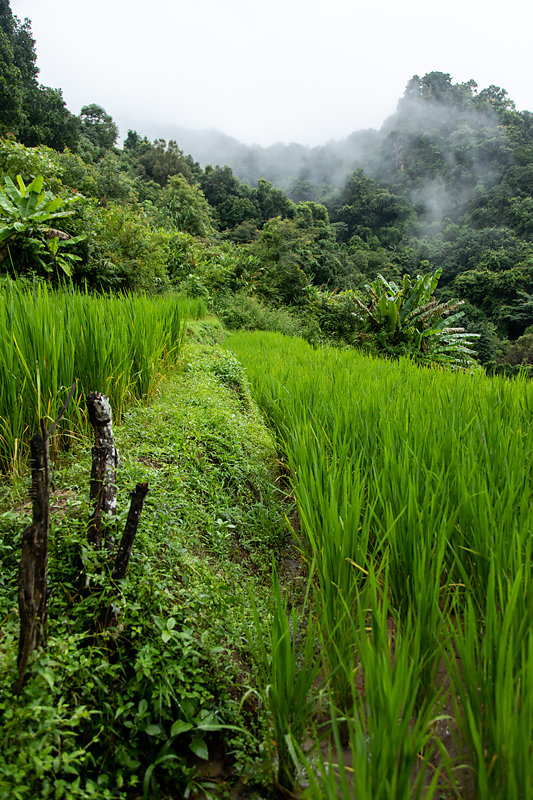 treck-chiang-mai.jpg