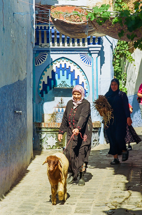 Maroc-Lea-Ratier-308.jpg