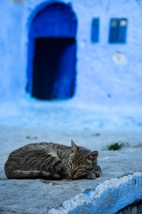 Maroc-Lea-Ratier-130.jpg