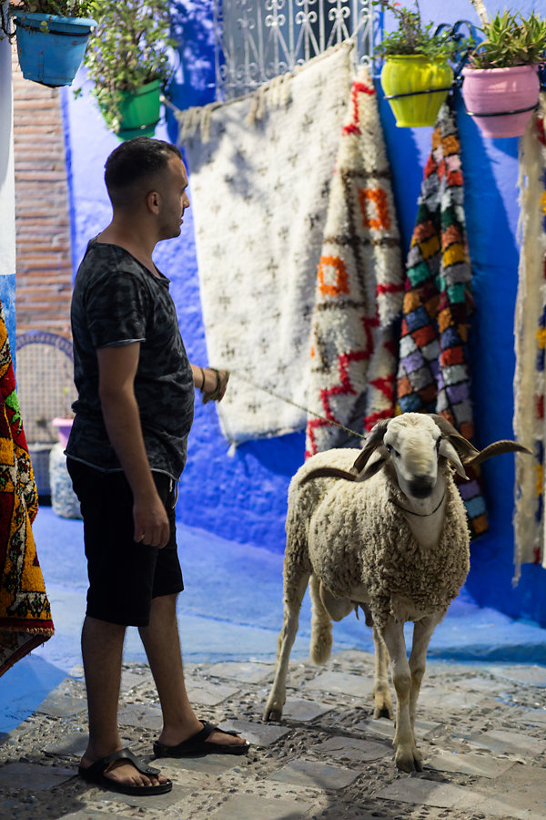 Maroc-Lea-Ratier-162.jpg