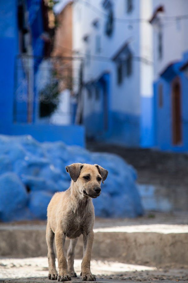 Maroc-Lea-Ratier-173.jpg
