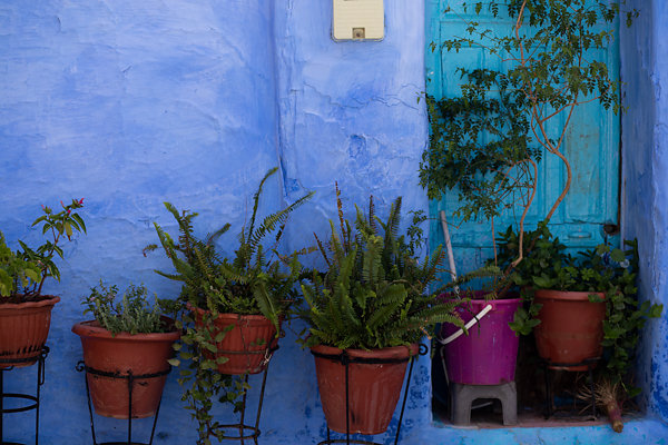 Maroc-Lea-Ratier-206.jpg